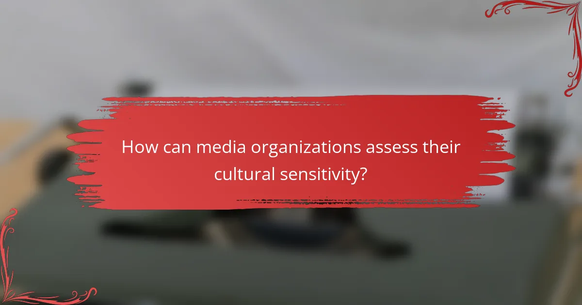 How can media organizations assess their cultural sensitivity?