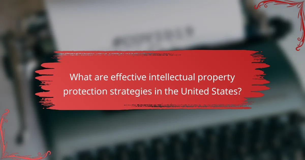 What are effective intellectual property protection strategies in the United States?