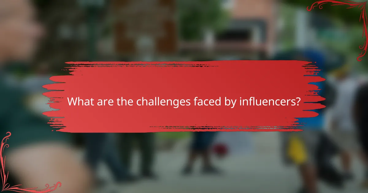 What are the challenges faced by influencers?
