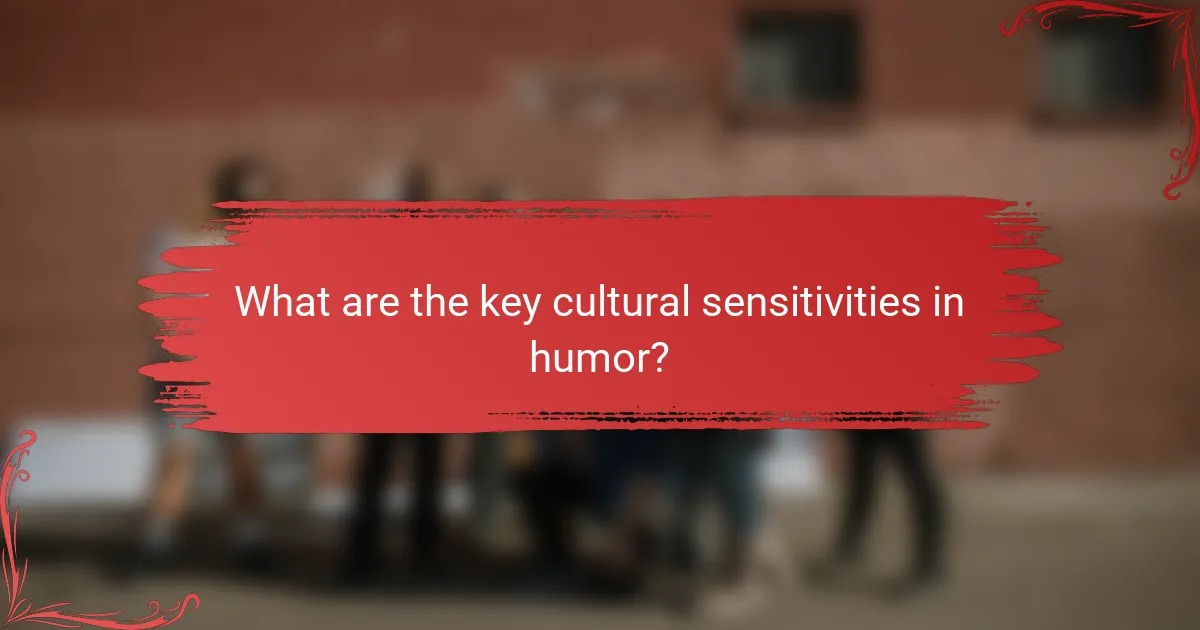 What are the key cultural sensitivities in humor?